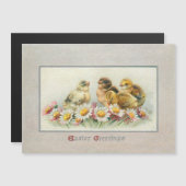  broodroosters en broodroosters (Voorkant / Achterkant)