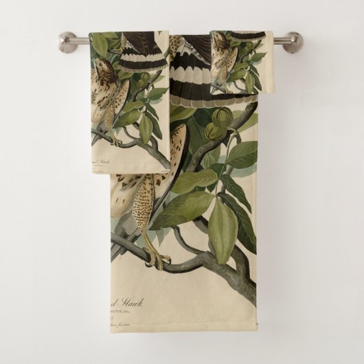 Broodwinged Hawk van de Amerikaanse vogels van Aud Bad Handdoek (Insitu)