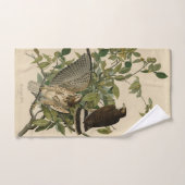 Broodwinged Hawk van de Amerikaanse vogels van Aud Bad Handdoek (Handdoek)