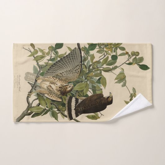 Broodwinged Hawk van de Amerikaanse vogels van Aud Bad Handdoek (Handdoek)