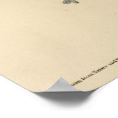 Broodwinged Hawk van de Amerikaanse vogels van Aud Poster (Hoek)