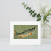 brook forel Art van Louis Agassiz Fuertes Briefkaart (Staand voorkant)