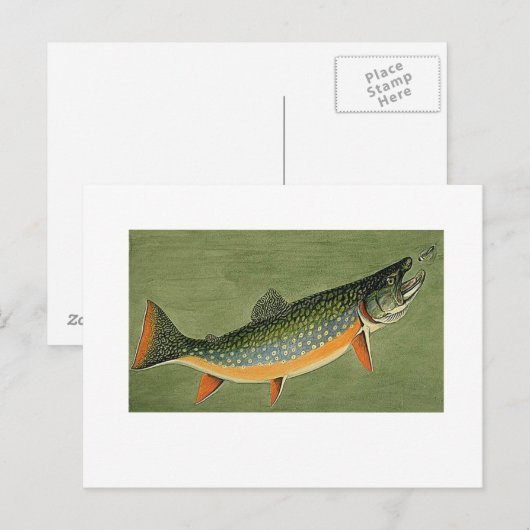 brook forel Art van Louis Agassiz Fuertes Briefkaart (Voorkant / Achterkant)