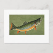 brook forel Art van Louis Agassiz Fuertes Briefkaart (Voorkant)