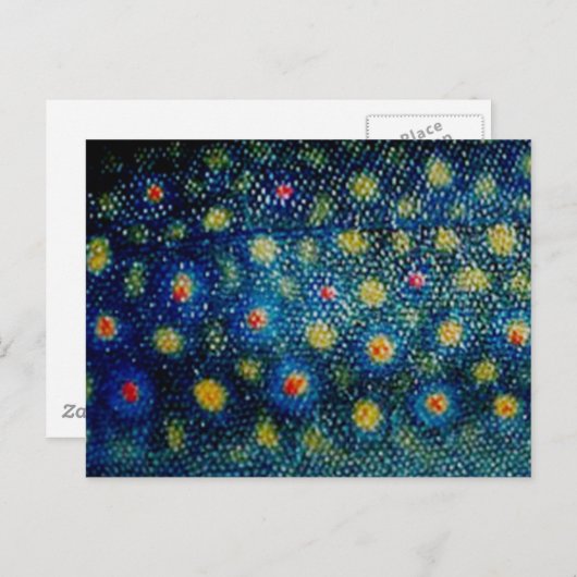 Brook forel door PatternWear© Briefkaart (Voorkant / Achterkant)