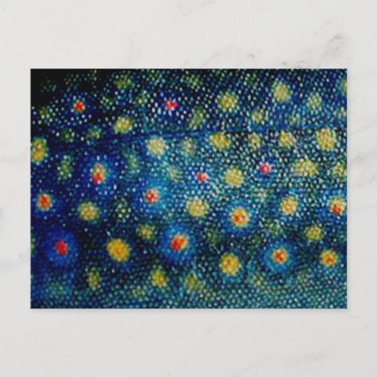 Brook forel door PatternWear© Briefkaart (Voorkant)