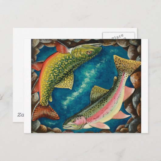 Brook-forel en regenboogforel briefkaart (Voorkant / Achterkant)