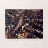 Brook-forel in het water legpuzzel (Horizontaal)