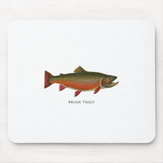 Brook forel mannetje (Spawning Phase) Muismat (Voorkant)