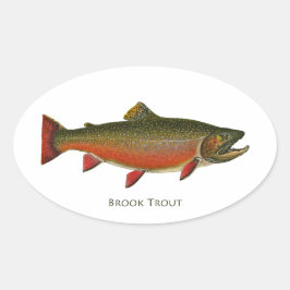 Brook forel mannetje (Spawning Phase) Ovale Sticker