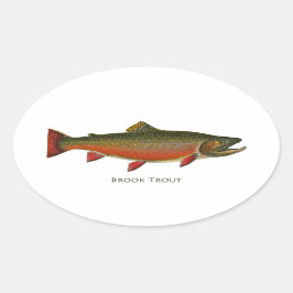 Brook forel mannetje (Spawning Phase) Ovale Sticker