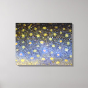 Brook forel schalen fotografie canvas afdruk