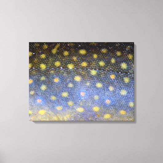 Brook forel schalen fotografie canvas afdruk (Voorkant)