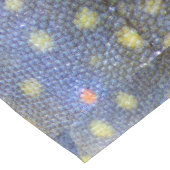 Brook forel schalen fotografie lange tafelloper (Hoek)