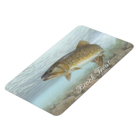 Brook forel schilderen magneet (Linkerzijde)