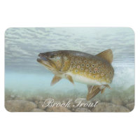 Brook forel schilderen