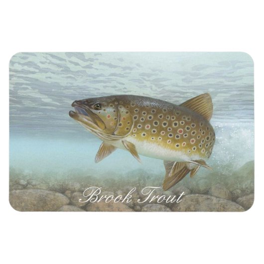 Brook forel schilderen magneet (Horizontaal)