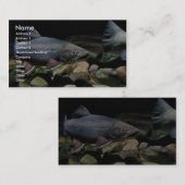 Brook forel visitekaartje (Voorkant / Achterkant)