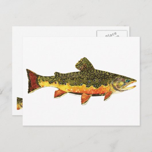 Brook forel visschilderen briefkaart (Voorkant / Achterkant)