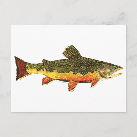 Brook forel visschilderen briefkaart (Voorkant)