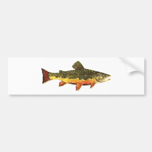 Brook forel visschilderen bumpersticker (Voorkant)
