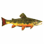 Brook forel visschilderen fotobeeldje sleutelhanger<br><div class="desc">BROOK TROUT PAINTING. Alleen de vis, de hele vis, en niets dan de vis. Dit ontwerp kenmerkt de wilde oostelijke broekforel, salvelinus fontinalis fontinalis, in rijke kleuren en prachtige patronen, net zoals de natuur het schilderde. De kunst komt uit een origineel schilderij van de waterverf van de heer Trout Whiskers....</div>