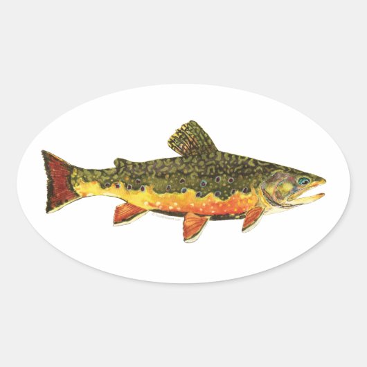 Brook forel visschilderen ovale sticker (Voorkant)
