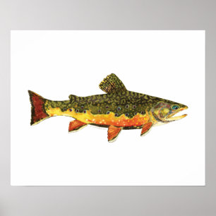 Brook forel visschilderen poster