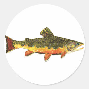 Brook forel visschilderen ronde sticker