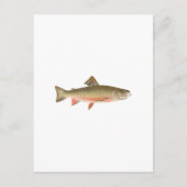 Brook Trout Art Briefkaart (Voorkant)