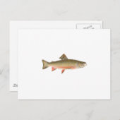 Brook Trout Art Briefkaart (Voorkant / Achterkant)