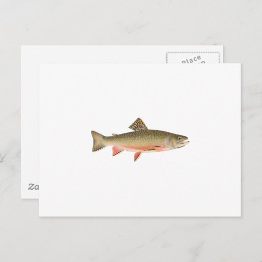 Brook Trout Art Briefkaart (Voorkant / Achterkant)