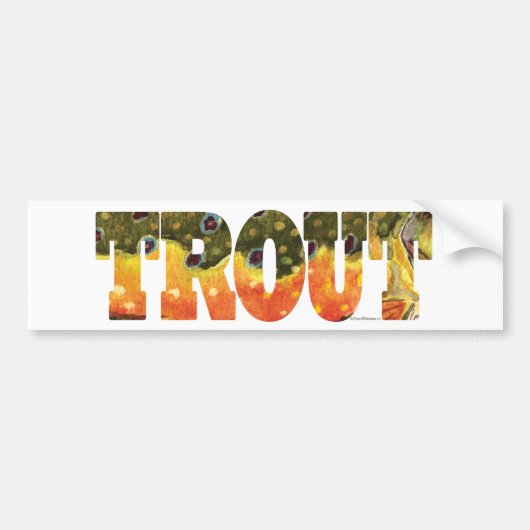 Brook Trout Art Bumpersticker (Voorkant)