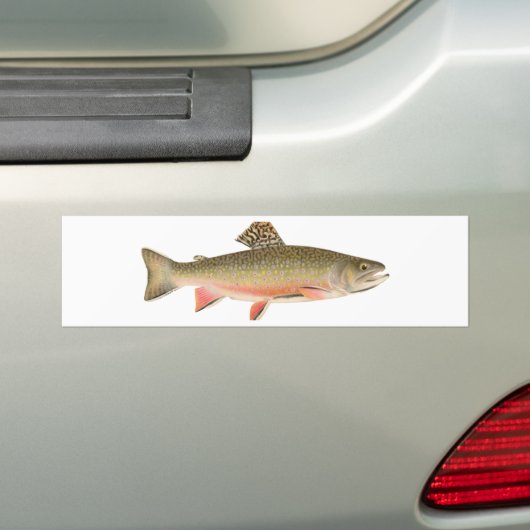 Brook Trout Art Bumpersticker (Op auto)
