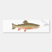 Brook Trout Art Bumpersticker (Voorkant)