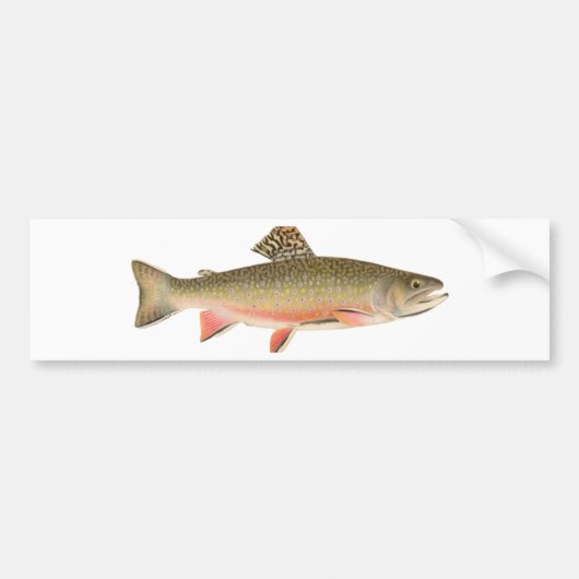Brook Trout Art Bumpersticker (Voorkant)