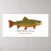 Brook Trout Art Poster (Voorkant)