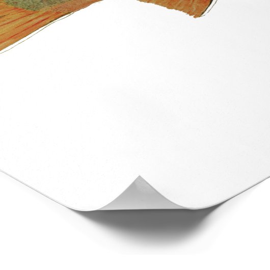 Brook Trout Art Poster (Hoek)