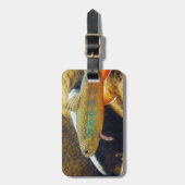 Brook Trout Bagagelabel (Voorkant verticaal)