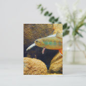 Brook Trout Briefkaart (Staand voorkant)