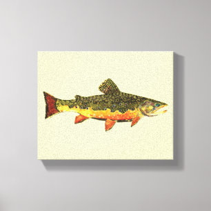 Brook Trout Canvas Afdruk