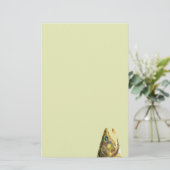 Brook Trout Fisherman Briefpapier (Staand voorkant)