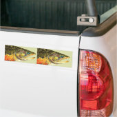 Brook Trout Fisherman Bumpersticker (Op Truck)