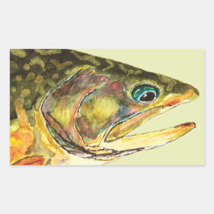 Brook Trout Fisherman Rechthoekige Sticker