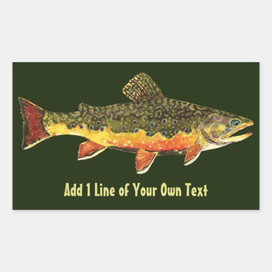 Brook Trout Fisherman Rechthoekige Sticker (Voorkant)