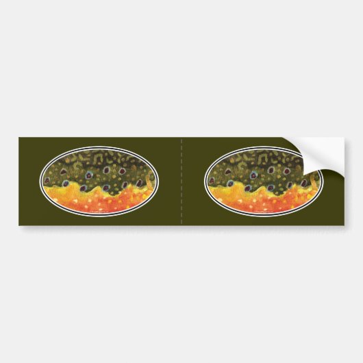 Brook Trout Fly Fishing Bumpersticker (Voorkant)