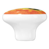 Brook Trout Fly Fishing Ichthyologist Angler's Keramische Knop (Zijkant)