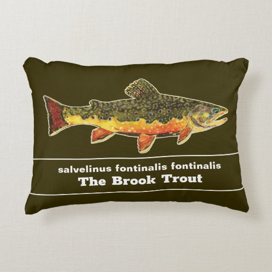 Brook Trout Fly Fishing Latijnse Name Ichthyology Accent Kussen (Voorkant)