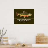 Brook Trout Fly Fishing Latijnse Name Ichthyology Poster (Keuken)