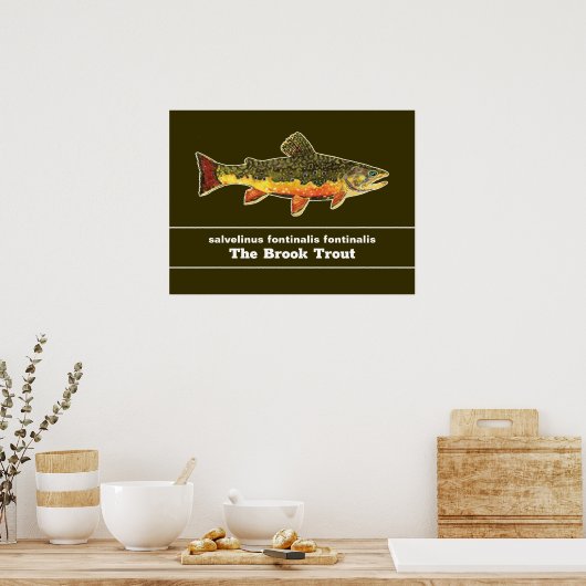 Brook Trout Fly Fishing Latijnse Name Ichthyology Poster (Keuken)